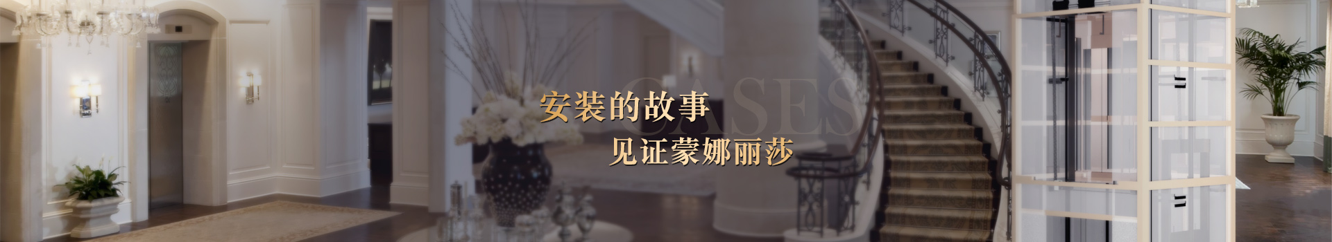 安裝的故事，見(jiàn)證蒙娜麗莎
